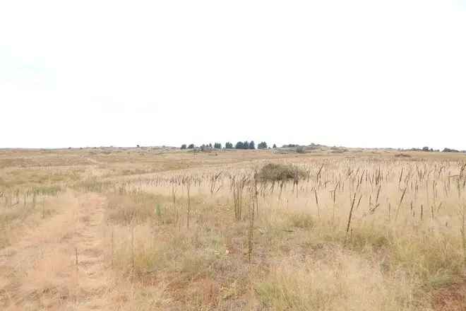 Land For Sale in Berridale, New South Wales