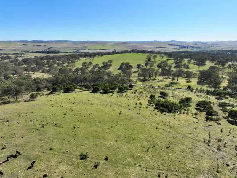 Buy Rural Property 40 Acres Near Goulburn with Stunning Views