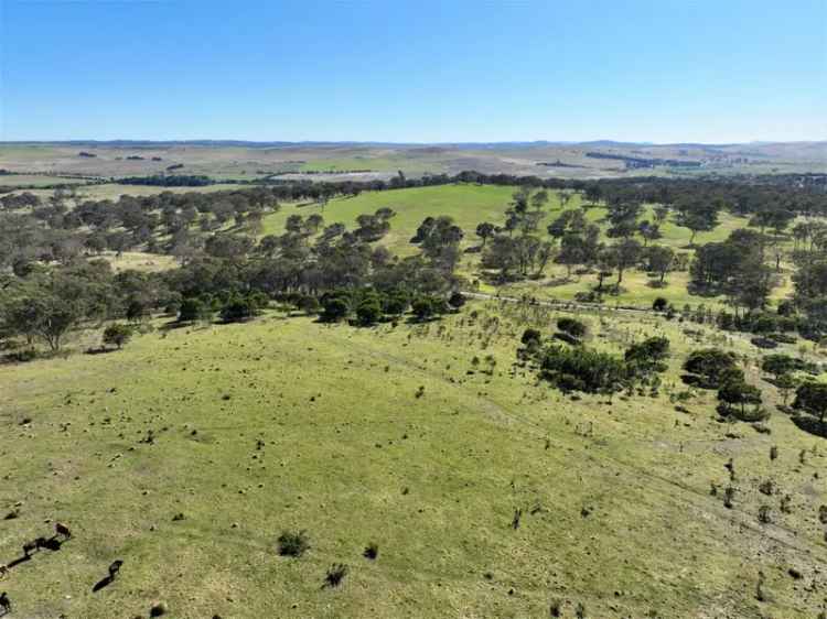  For Sale in Goulburn, New South Wales