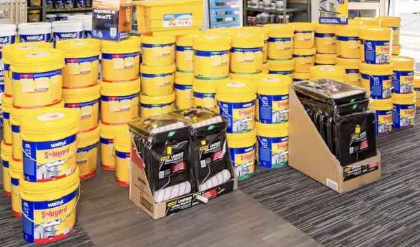 Buy Paint Franchise in Growing Queensland Town with Established Brand