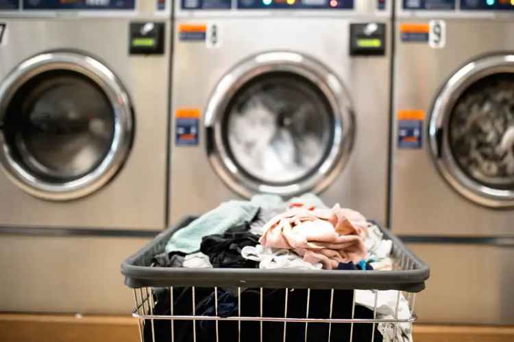 Buy Coastal Laundrette Business in Shoalhaven with High Growth Potential