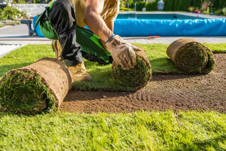 Highly Profitable Landscaping Business - Business for Sale, Southern Highlands