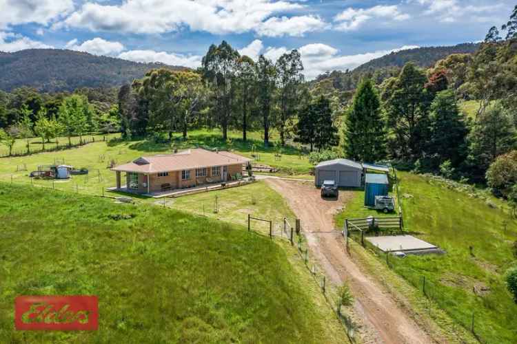 Real Estate For Sale - 22 Smiths Road - Nicholls Rivulet , TAS