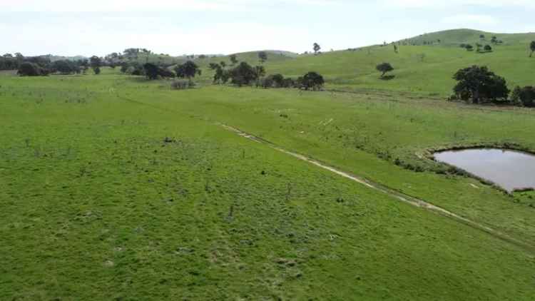 Rural For Sale in Yass, New South Wales