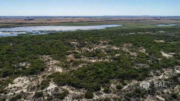 Rural For Sale in Rendelsham, South Australia