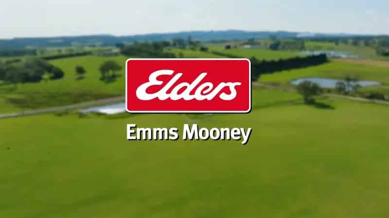 Rural property For Sale , Blayney Shire Council, New South Wales