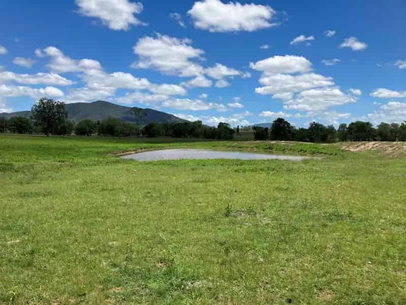 Buy Rural Property in Bowen with Water Supply and Excellent Pastures
