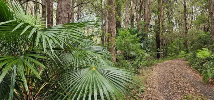 For Sale Rural Property in Coolgardie with Rainforest and Wildlife