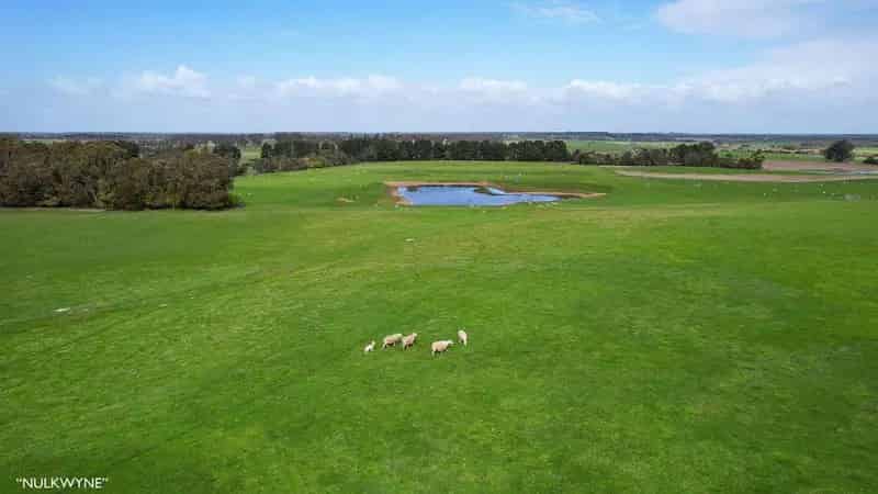 Buy rural property Nulkwyne and Moodys in Grassdale with high production pastures