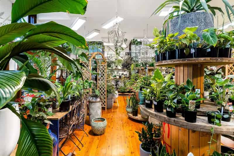Real Estate For Commercial Sale - 661 Darling Street - Rozelle , NSW