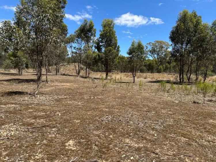 36.55 Acres For Sale in Carisbrook