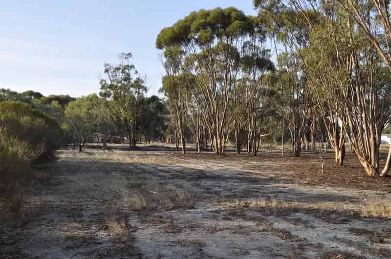 Buy land in Katanning with stunning views and natural features