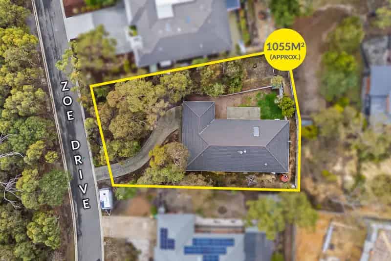Spacious Family Home in a Tranquil Bushland Setting