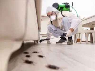 Highly Successful Carpet Cleaning