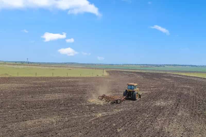 Rural Lifestyle with Income Potential