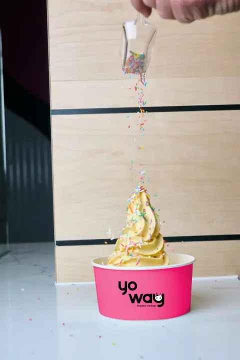 Start Your Own Yo Way Frozen Yogurt Franchise