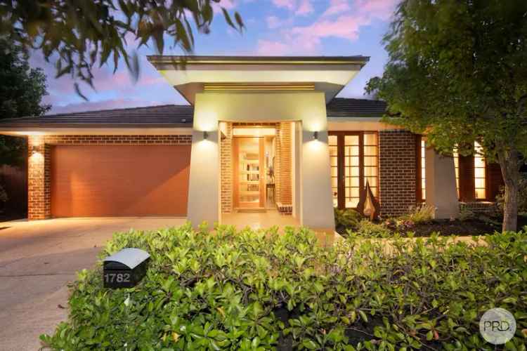 1782 Sturt Street: A Masterclass in Contemporary Family Living