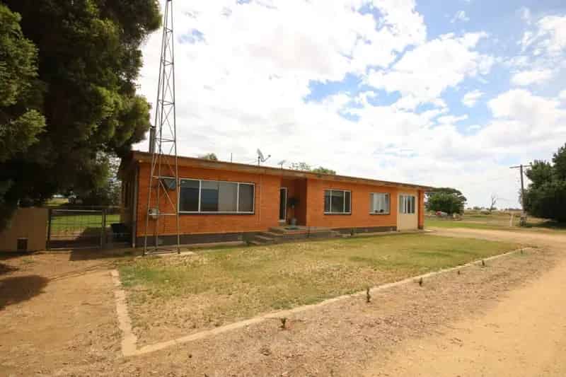 Buy rural property 327 acre dairy farm with homes in Wakool area