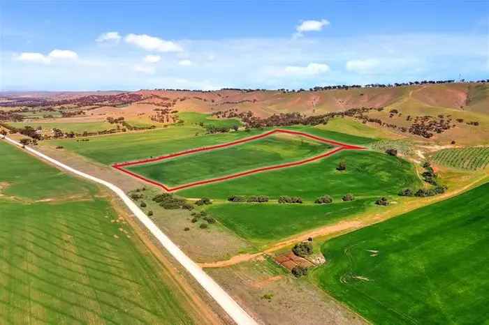 Land For Sale in Robertstown, South Australia