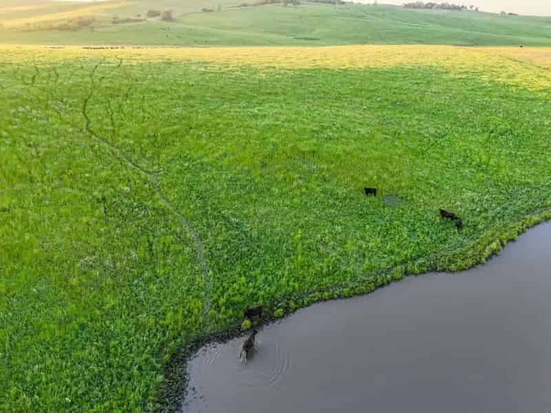 Buy Rural Property with Established Pastures in Australia