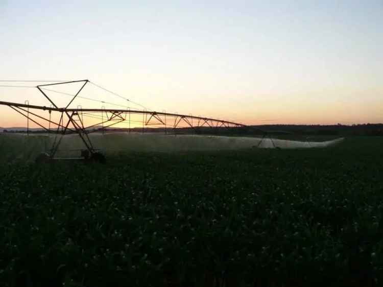 For Sale Horticultural Farm Kingaroy Queensland with Irrigation and Accommodation