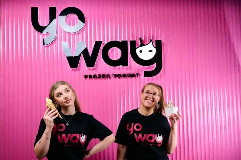 Invest in Frozen Yogurt Franchise Opportunities at Yo Way