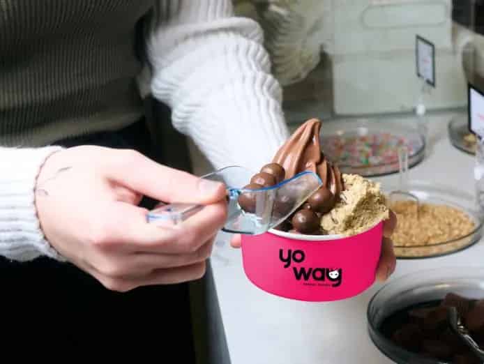 franchise for sale frozen yogurt business opportunity