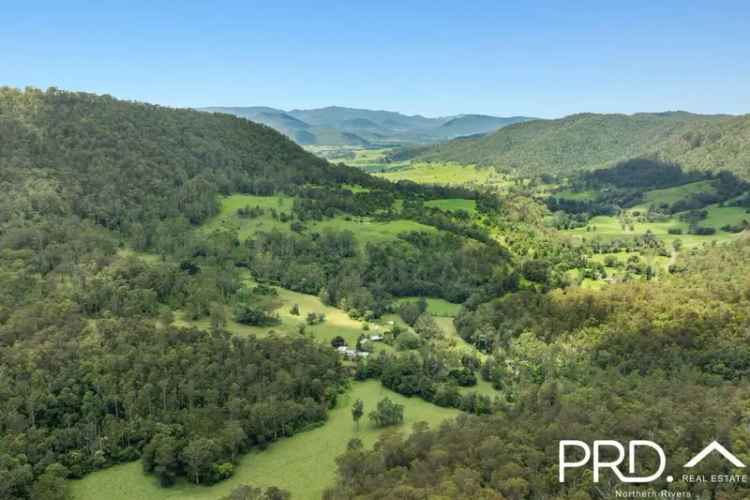 Rent rural property with farm stay and camping area near Kyogle