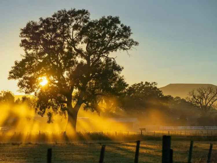 Mountain Views, Rail Trail Walks and an Onsite Childcare Centre