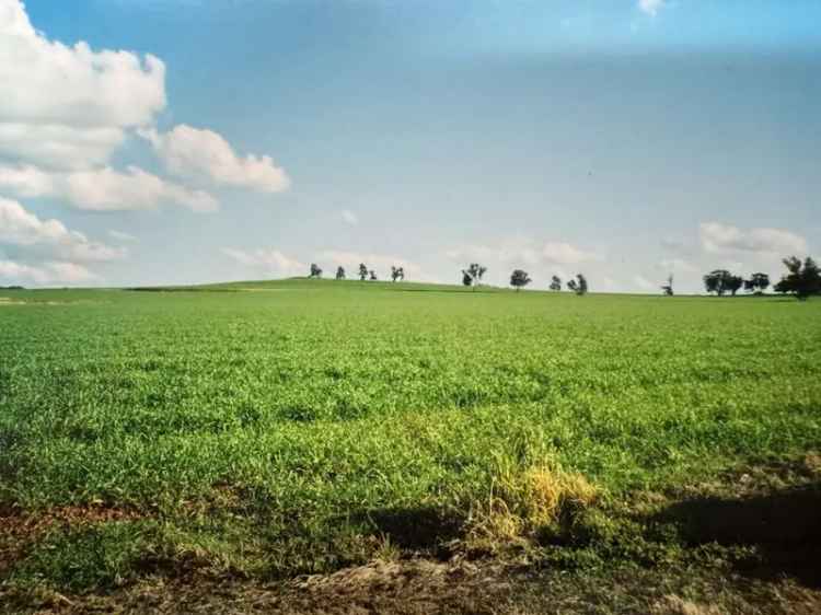 Rural property For Rent , Parkes, New South Wales