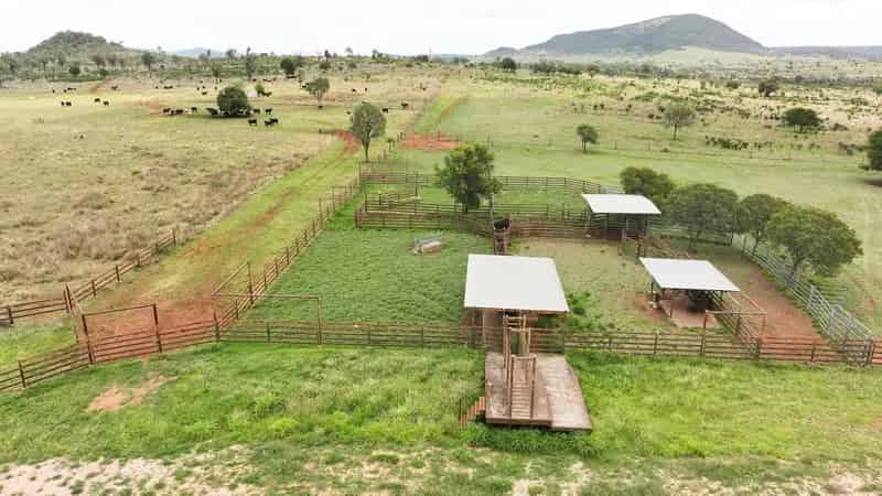 'Green Yards' Scotts Road, Theodore Qld 4719