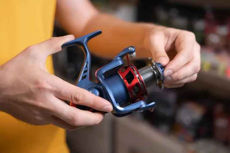 Buy Established Bait and Tackle Business in Prime Location