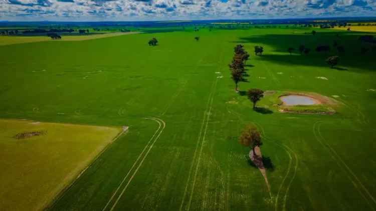  For Sale in Coolamon, New South Wales