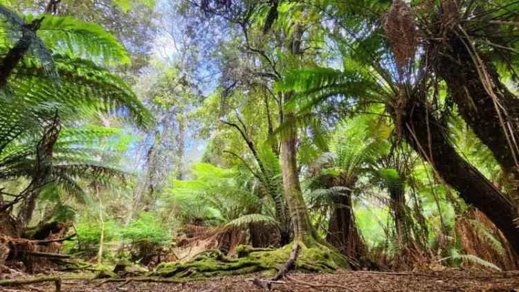  For Sale in Glamorgan-Spring Bay, Tasmania