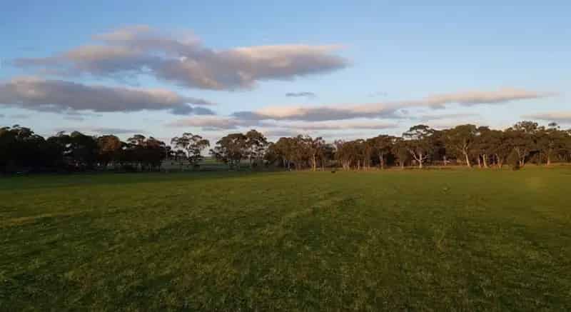Buy rural property in Carisbrook with 22 acres ready for your dream home