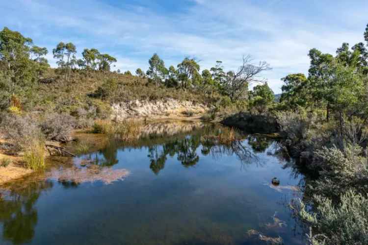 Buy Rural Land in Eaglehawk Neck with Stunning Views and Wildlife Sanctuary