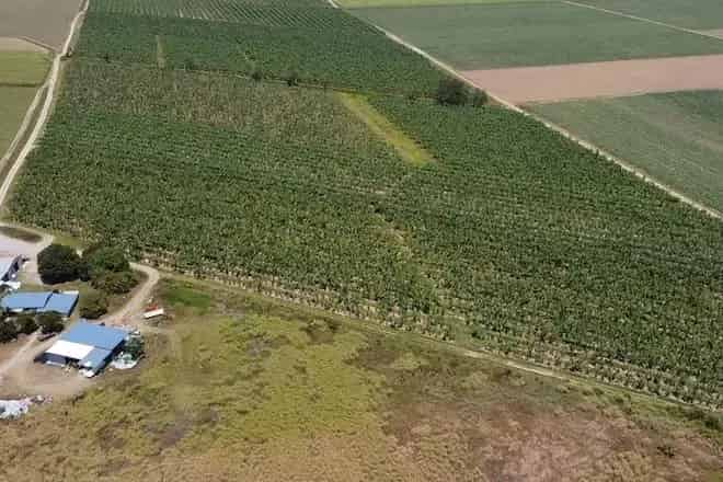 Rural property For Sale , Cassowary Coast Regional, Queensland