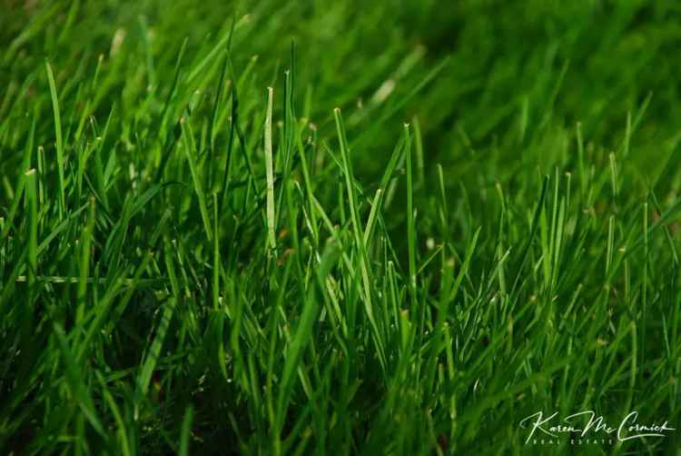 Vacant land in prime position