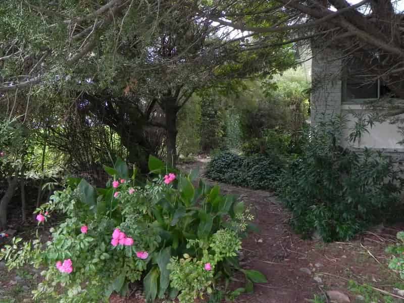 House For Rent , Yass, New South Wales