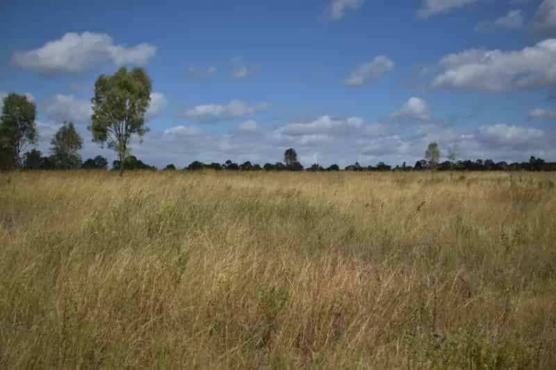 Buy rural property in Drinan with stunning 25 acres and water features