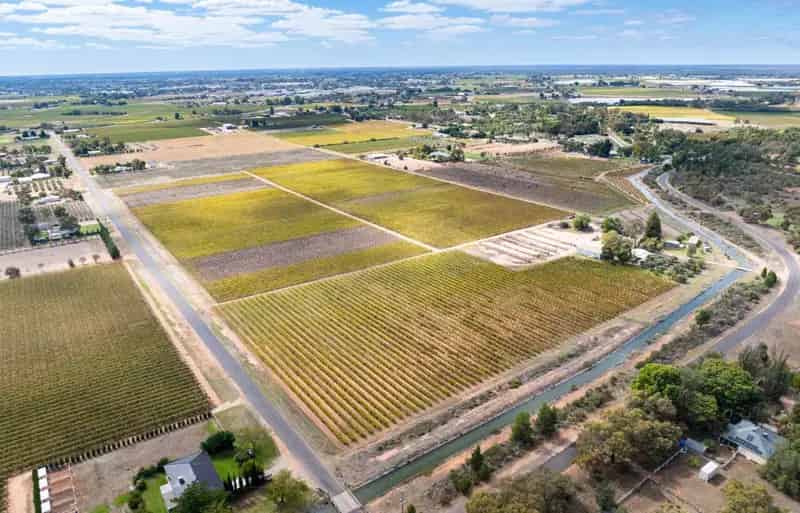 Buy rural property in Blunts with transportable home and grape irrigation