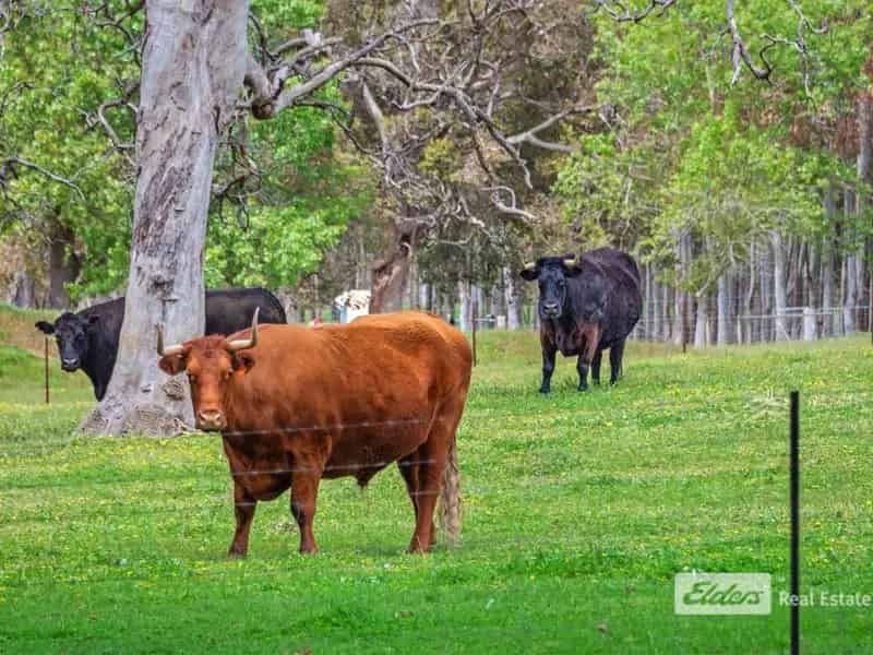 Rural property For Sale , Mullalyup, Western Australia