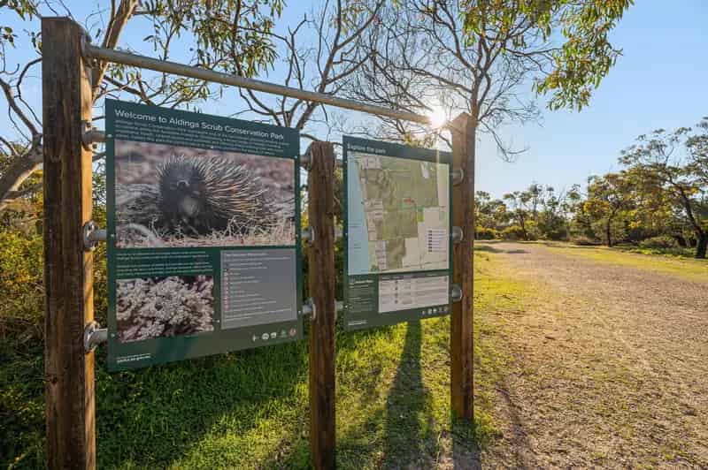 13-15 Treasure Street, Aldinga Beach SA 5173 - House For Lease