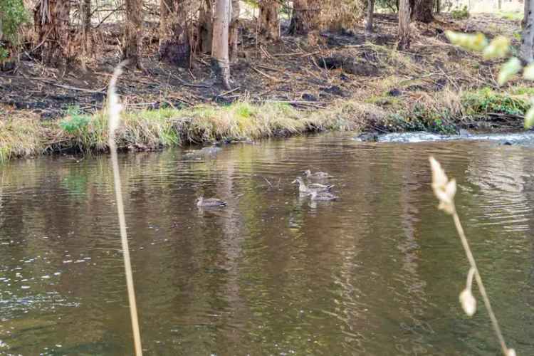 Rural For Sale in Geeveston, Tasmania