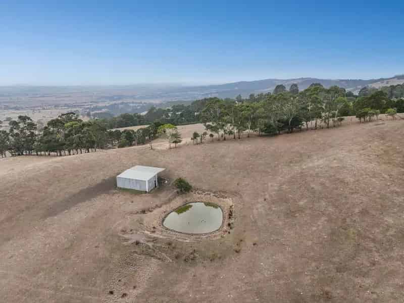 40 acres of Prime Grazing Land with Stunning Views