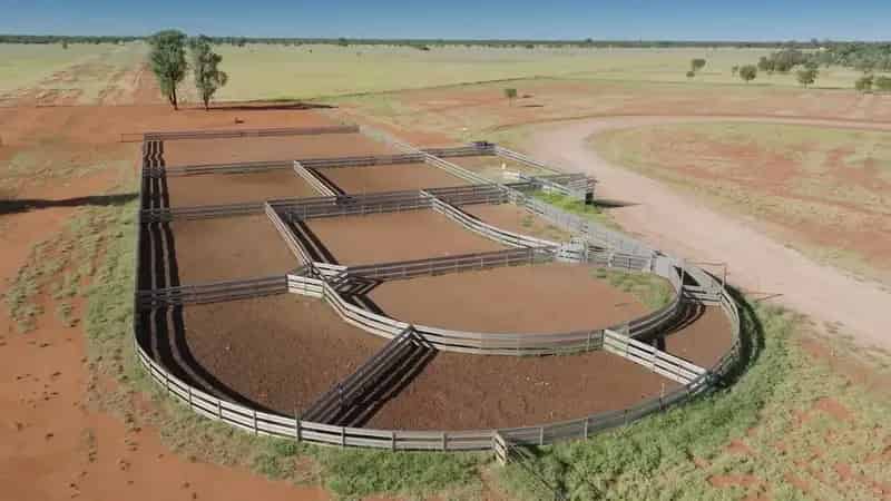 Rural property For Rent , Balonne Shire, Queensland