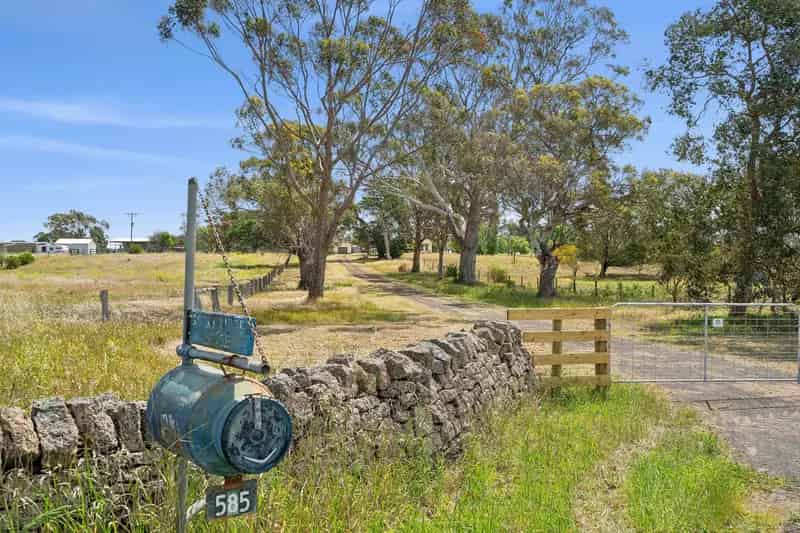 Quality Established mixed farming opportunity