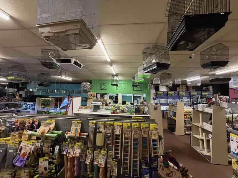 Retail Pet Supplies Business – Tamworth, NSW