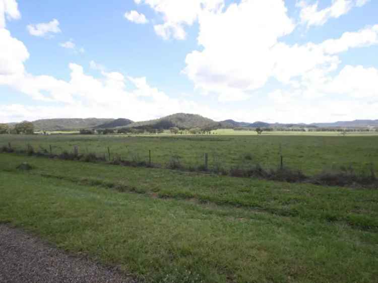 Vacant Residential Land - Opportunity to build your new family home close to the Muswellbrook Central Business District!