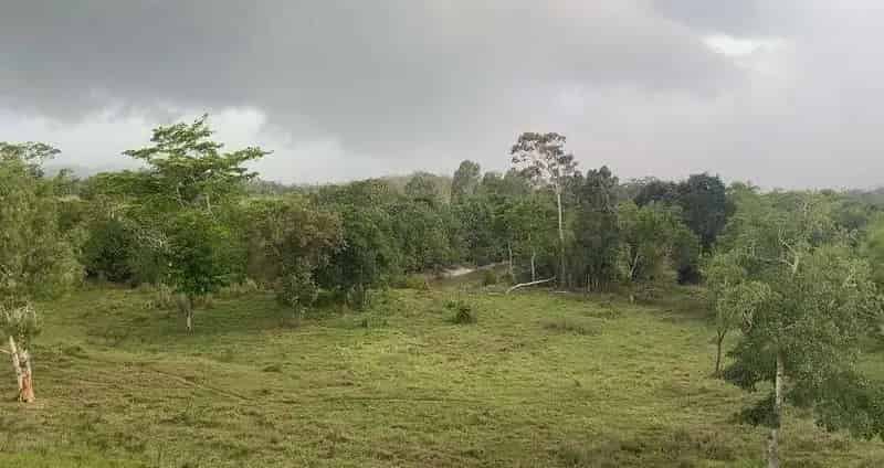 Buy rural property in Mount Ossa with tidal creek and fertile pastures